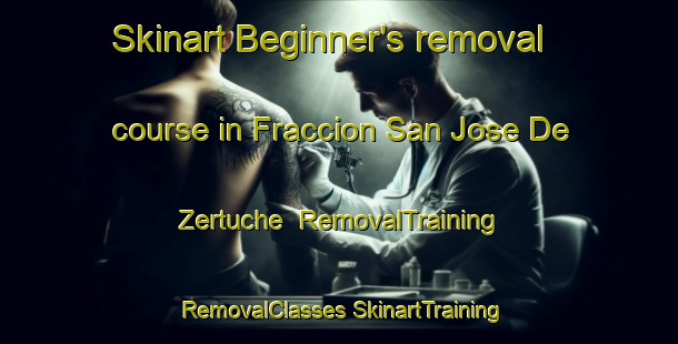 Skinart Beginner's removal course in Fraccion San Jose De Zertuche | #RemovalTraining #RemovalClasses #SkinartTraining-Mexico