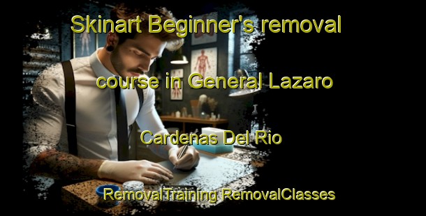 Skinart Beginner's removal course in General Lazaro Cardenas Del Rio | #RemovalTraining #RemovalClasses #SkinartTraining-Mexico