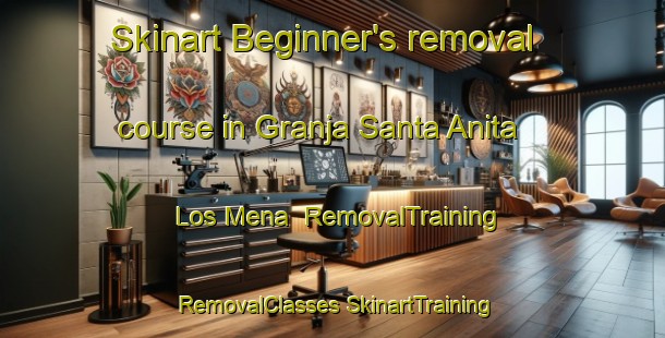 Skinart Beginner's removal course in Granja Santa Anita  Los Mena | #RemovalTraining #RemovalClasses #SkinartTraining-Mexico