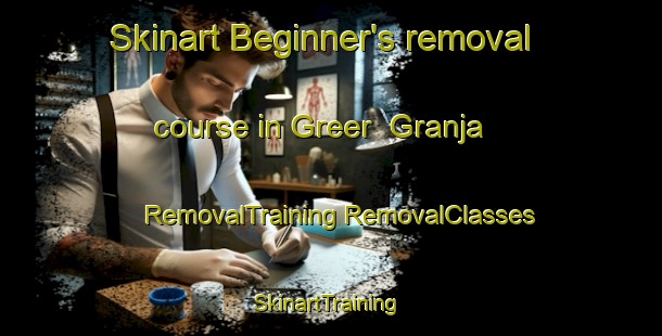 Skinart Beginner's removal course in Greer  Granja | #RemovalTraining #RemovalClasses #SkinartTraining-Mexico