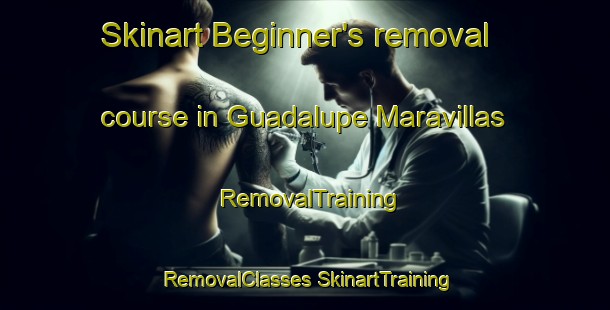 Skinart Beginner's removal course in Guadalupe Maravillas | #RemovalTraining #RemovalClasses #SkinartTraining-Mexico