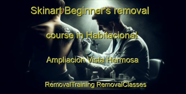 Skinart Beginner's removal course in Habitacional Ampliacion Vista Hermosa | #RemovalTraining #RemovalClasses #SkinartTraining-Mexico