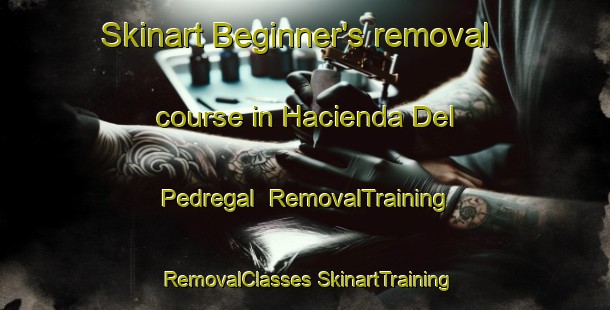 Skinart Beginner's removal course in Hacienda Del Pedregal | #RemovalTraining #RemovalClasses #SkinartTraining-Mexico