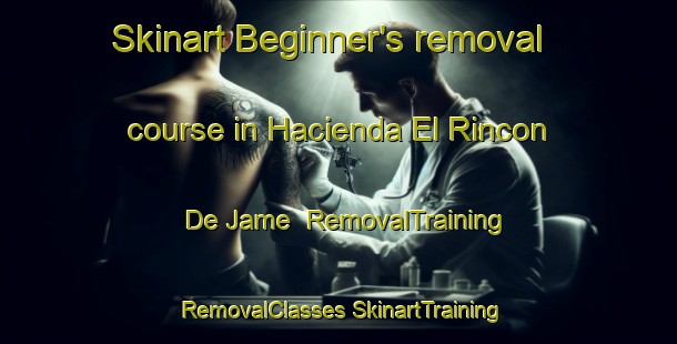 Skinart Beginner's removal course in Hacienda El Rincon De Jame | #RemovalTraining #RemovalClasses #SkinartTraining-Mexico