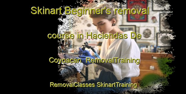 Skinart Beginner's removal course in Haciendas De Coyoacan | #RemovalTraining #RemovalClasses #SkinartTraining-Mexico