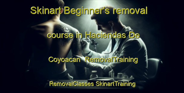 Skinart Beginner's removal course in Haciendas De Coyoacan | #RemovalTraining #RemovalClasses #SkinartTraining-Mexico