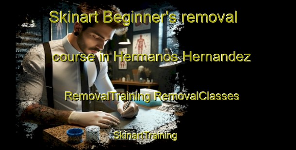 Skinart Beginner's removal course in Hermanos Hernandez | #RemovalTraining #RemovalClasses #SkinartTraining-Mexico