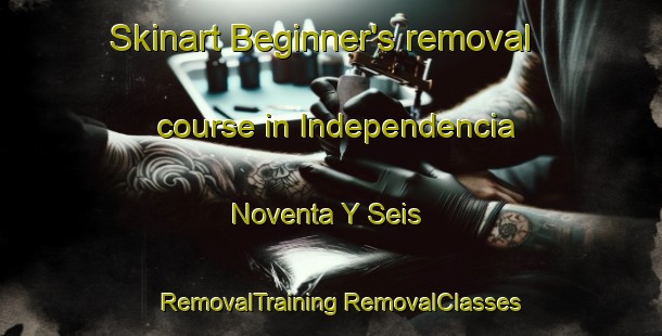 Skinart Beginner's removal course in Independencia Noventa Y Seis | #RemovalTraining #RemovalClasses #SkinartTraining-Mexico