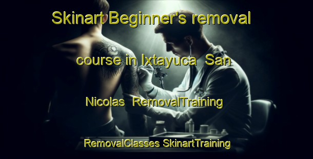 Skinart Beginner's removal course in Ixtayuca  San Nicolas | #RemovalTraining #RemovalClasses #SkinartTraining-Mexico