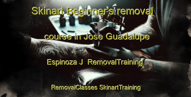 Skinart Beginner's removal course in Jose Guadalupe Espinoza J | #RemovalTraining #RemovalClasses #SkinartTraining-Mexico