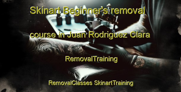 Skinart Beginner's removal course in Juan Rodriguez Clara | #RemovalTraining #RemovalClasses #SkinartTraining-Mexico