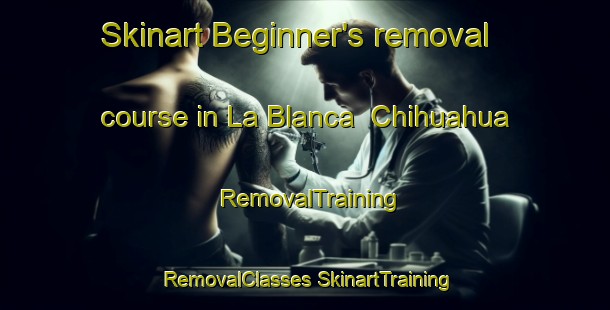 Skinart Beginner's removal course in La Blanca  Chihuahua | #RemovalTraining #RemovalClasses #SkinartTraining-Mexico