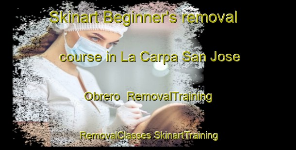 Skinart Beginner's removal course in La Carpa San Jose Obrero | #RemovalTraining #RemovalClasses #SkinartTraining-Mexico