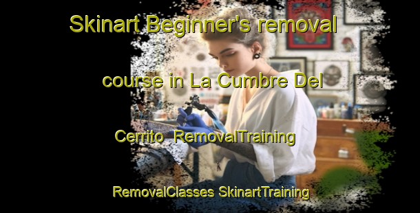 Skinart Beginner's removal course in La Cumbre Del Cerrito | #RemovalTraining #RemovalClasses #SkinartTraining-Mexico