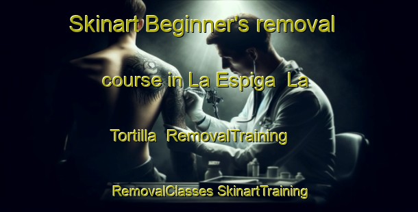 Skinart Beginner's removal course in La Espiga  La Tortilla | #RemovalTraining #RemovalClasses #SkinartTraining-Mexico