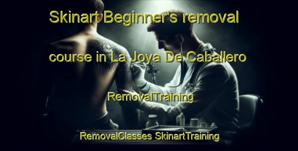 Skinart Beginner's removal course in La Joya De Caballero | #RemovalTraining #RemovalClasses #SkinartTraining-Mexico