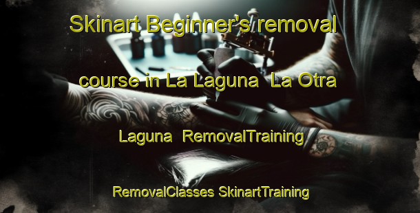 Skinart Beginner's removal course in La Laguna  La Otra Laguna | #RemovalTraining #RemovalClasses #SkinartTraining-Mexico