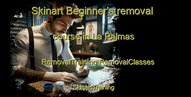 Skinart Beginner's removal course in La Palmas | #RemovalTraining #RemovalClasses #SkinartTraining-Mexico