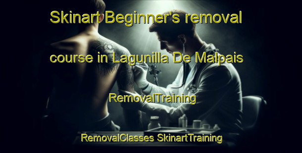 Skinart Beginner's removal course in Lagunilla De Malpais | #RemovalTraining #RemovalClasses #SkinartTraining-Mexico