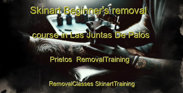 Skinart Beginner's removal course in Las Juntas De Palos Prietos | #RemovalTraining #RemovalClasses #SkinartTraining-Mexico