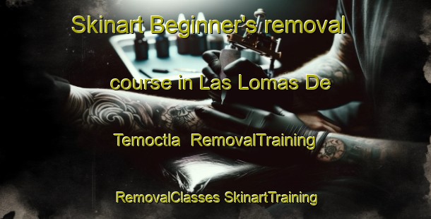 Skinart Beginner's removal course in Las Lomas De Temoctla | #RemovalTraining #RemovalClasses #SkinartTraining-Mexico