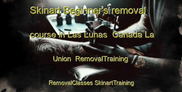 Skinart Beginner's removal course in Las Lunas  Canada La Union | #RemovalTraining #RemovalClasses #SkinartTraining-Mexico