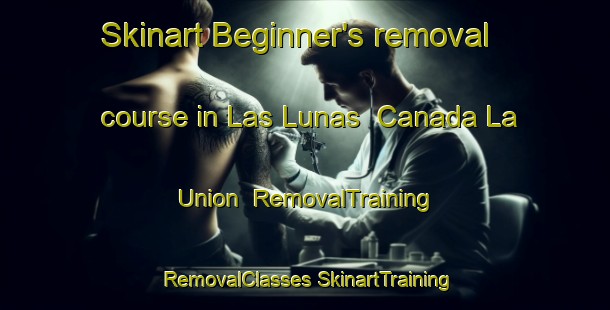 Skinart Beginner's removal course in Las Lunas  Canada La Union | #RemovalTraining #RemovalClasses #SkinartTraining-Mexico