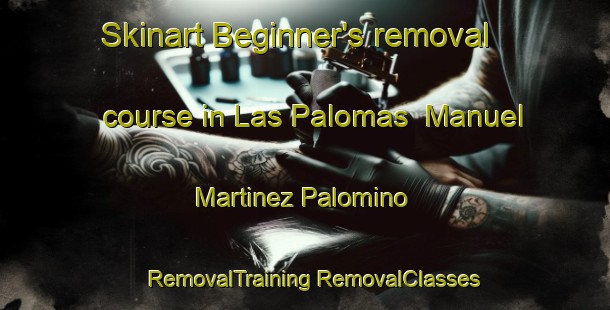 Skinart Beginner's removal course in Las Palomas  Manuel Martinez Palomino | #RemovalTraining #RemovalClasses #SkinartTraining-Mexico