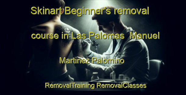 Skinart Beginner's removal course in Las Palomas  Manuel Martinez Palomino | #RemovalTraining #RemovalClasses #SkinartTraining-Mexico