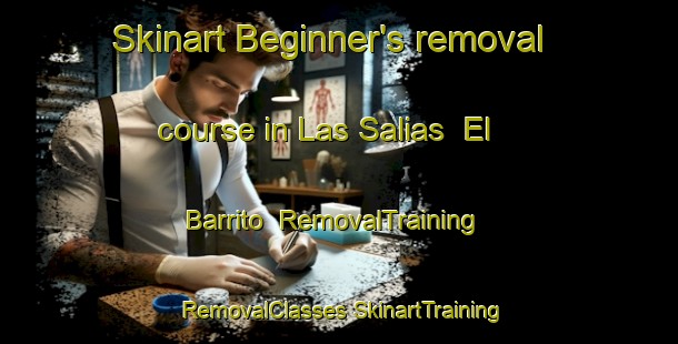 Skinart Beginner's removal course in Las Salias  El Barrito | #RemovalTraining #RemovalClasses #SkinartTraining-Mexico