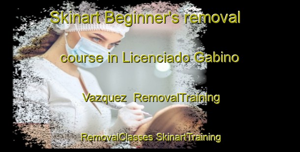 Skinart Beginner's removal course in Licenciado Gabino Vazquez | #RemovalTraining #RemovalClasses #SkinartTraining-Mexico