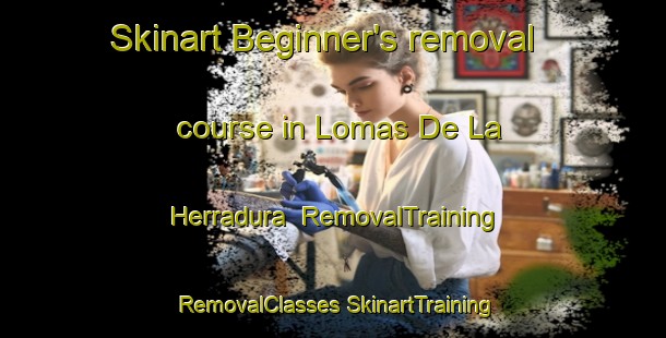 Skinart Beginner's removal course in Lomas De La Herradura | #RemovalTraining #RemovalClasses #SkinartTraining-Mexico