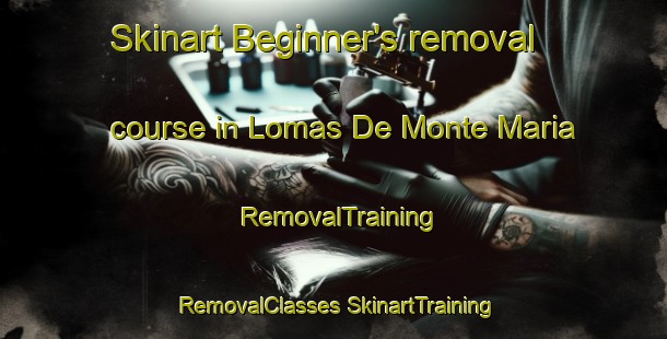 Skinart Beginner's removal course in Lomas De Monte Maria | #RemovalTraining #RemovalClasses #SkinartTraining-Mexico