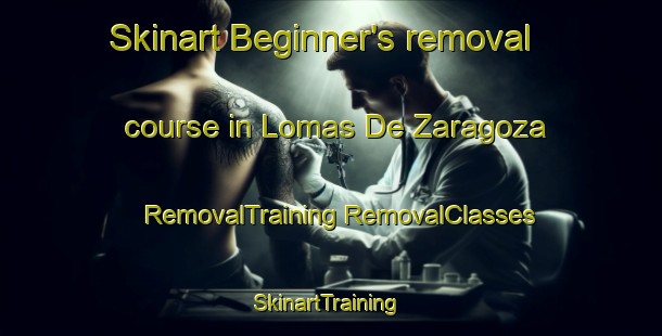 Skinart Beginner's removal course in Lomas De Zaragoza | #RemovalTraining #RemovalClasses #SkinartTraining-Mexico