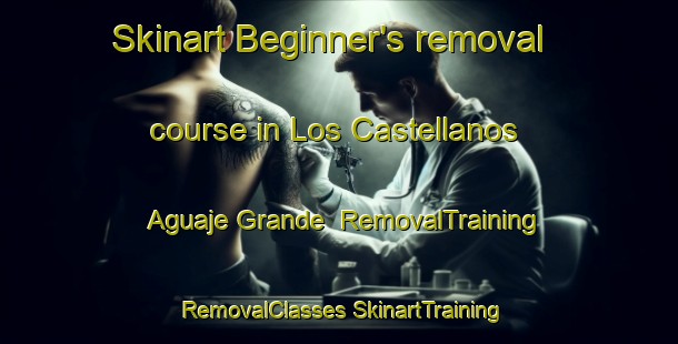 Skinart Beginner's removal course in Los Castellanos Aguaje Grande | #RemovalTraining #RemovalClasses #SkinartTraining-Mexico