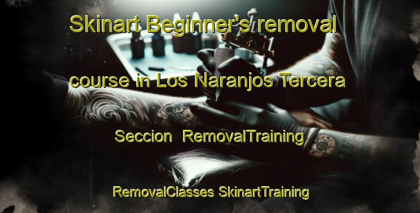 Skinart Beginner's removal course in Los Naranjos Tercera Seccion | #RemovalTraining #RemovalClasses #SkinartTraining-Mexico