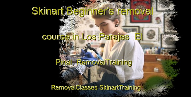 Skinart Beginner's removal course in Los Parajes  El Pinal | #RemovalTraining #RemovalClasses #SkinartTraining-Mexico