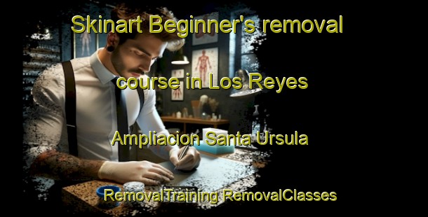 Skinart Beginner's removal course in Los Reyes  Ampliacion Santa Ursula | #RemovalTraining #RemovalClasses #SkinartTraining-Mexico