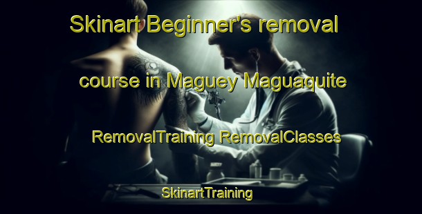 Skinart Beginner's removal course in Maguey Maguaquite | #RemovalTraining #RemovalClasses #SkinartTraining-Mexico