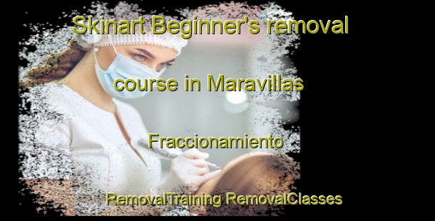 Skinart Beginner's removal course in Maravillas  Fraccionamiento | #RemovalTraining #RemovalClasses #SkinartTraining-Mexico