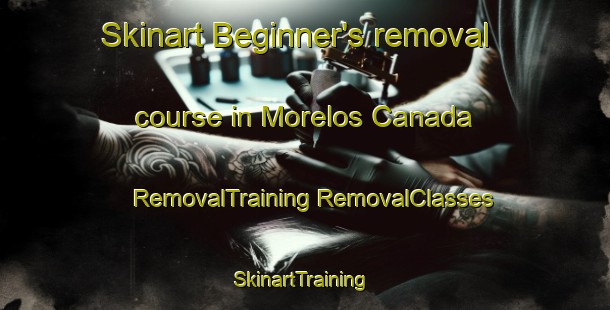 Skinart Beginner's removal course in Morelos Canada | #RemovalTraining #RemovalClasses #SkinartTraining-Mexico