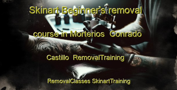 Skinart Beginner's removal course in Morterios  Conrado Castillo | #RemovalTraining #RemovalClasses #SkinartTraining-Mexico