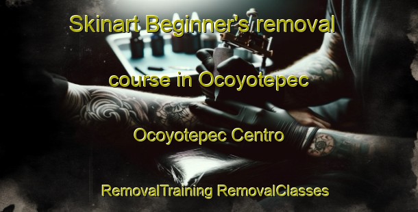 Skinart Beginner's removal course in Ocoyotepec  Ocoyotepec Centro | #RemovalTraining #RemovalClasses #SkinartTraining-Mexico