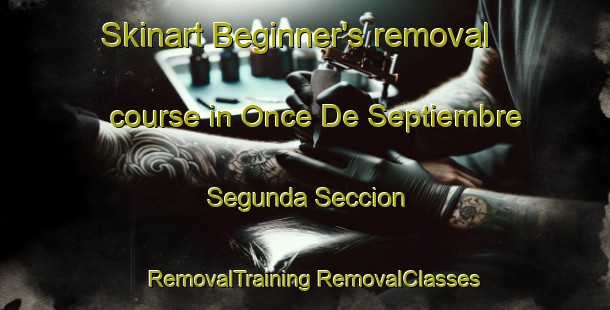 Skinart Beginner's removal course in Once De Septiembre Segunda Seccion | #RemovalTraining #RemovalClasses #SkinartTraining-Mexico