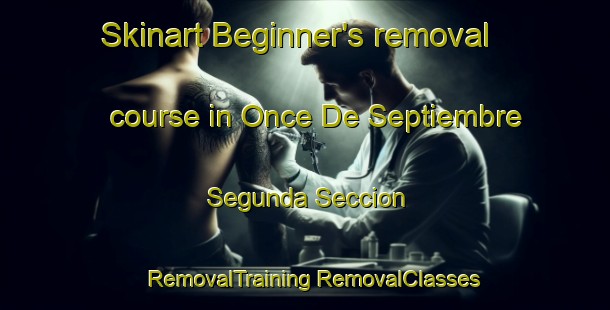 Skinart Beginner's removal course in Once De Septiembre Segunda Seccion | #RemovalTraining #RemovalClasses #SkinartTraining-Mexico