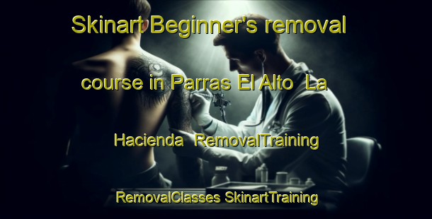 Skinart Beginner's removal course in Parras El Alto  La Hacienda | #RemovalTraining #RemovalClasses #SkinartTraining-Mexico