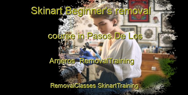 Skinart Beginner's removal course in Pasos De Los Arrieros | #RemovalTraining #RemovalClasses #SkinartTraining-Mexico