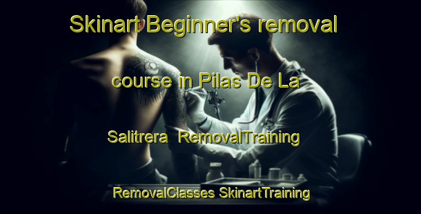 Skinart Beginner's removal course in Pilas De La Salitrera | #RemovalTraining #RemovalClasses #SkinartTraining-Mexico