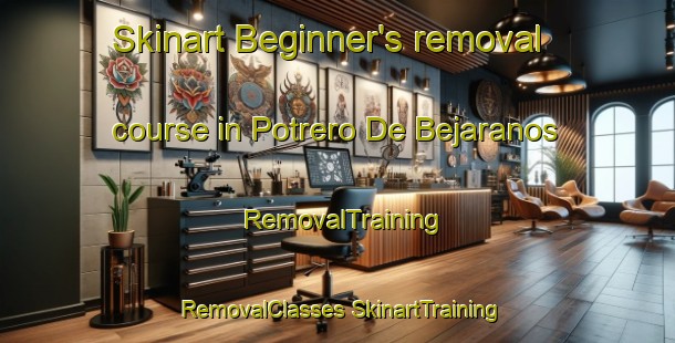 Skinart Beginner's removal course in Potrero De Bejaranos | #RemovalTraining #RemovalClasses #SkinartTraining-Mexico