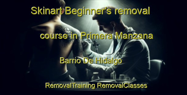 Skinart Beginner's removal course in Primera Manzana Barrio De Hidalgo | #RemovalTraining #RemovalClasses #SkinartTraining-Mexico